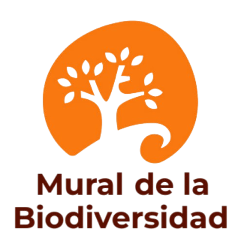 Descubre el aspecto sistémico de México y el resto del mundo, asi como la pérdida de la biodiversidad a través de un taller lúdico y colaborativo: lo qué es la biodiversidad, lo qué permite y lo qué la degrada.